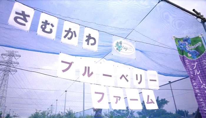 農園情報