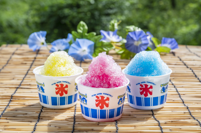 shaved_ice_plane.png
