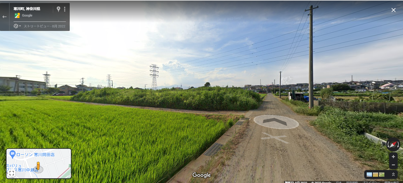 street view.png